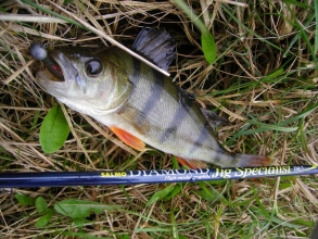Рибальська снасть в інтернет-магазині «Carp Expert»