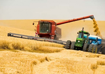 Продажа семян ячменя, Украина