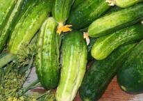 The cost of Ukrainian cucumbers to depend on Russia