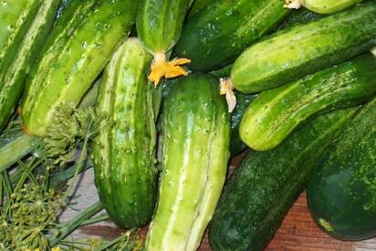 The cost of Ukrainian cucumbers to depend on Russia The cost of Ukrainian cucumbers to depend on Russia