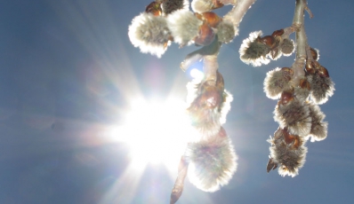 Синоптики прогнозируют потепление на выходных