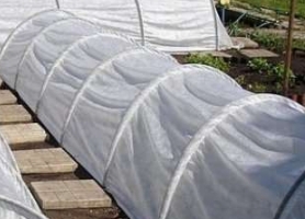 У продажу парник для розсади