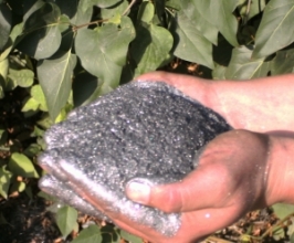 Natural graphite - buy in Ltd.