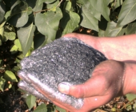 Natural graphite - buy in Ltd. 