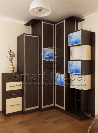Шкафы купе под заказ Киев