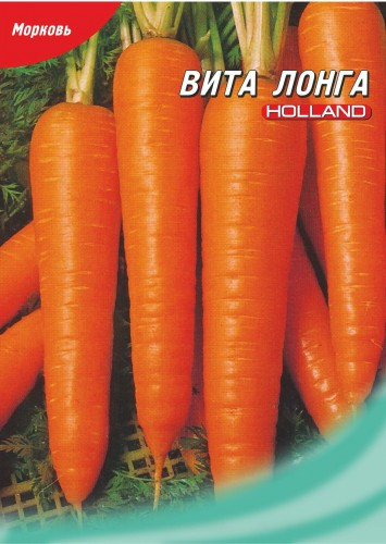 Купить семена моркови оптом недорого