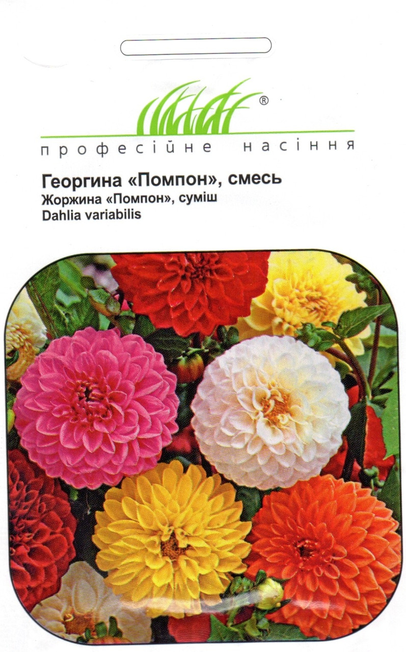 Купить цветы семена почтой дешево