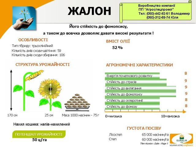 Семена подсолнечника Жалон по доступной цене