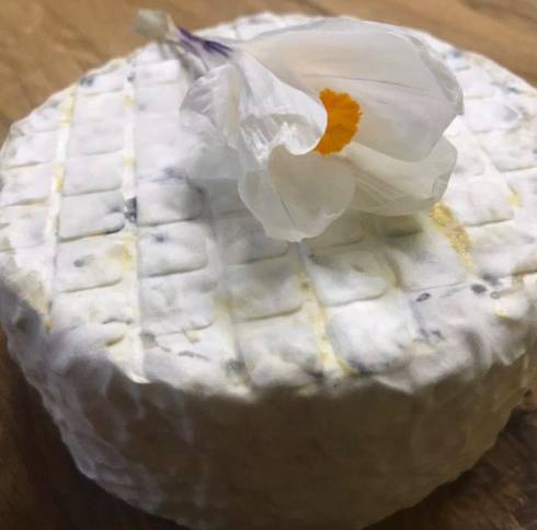 Купить козий сыр на любой вкус предлагаем от производителя
