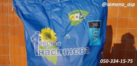 Купуйте високоврожайний гібрид соняшнику Ясон від компанії "Агроспецпроект"